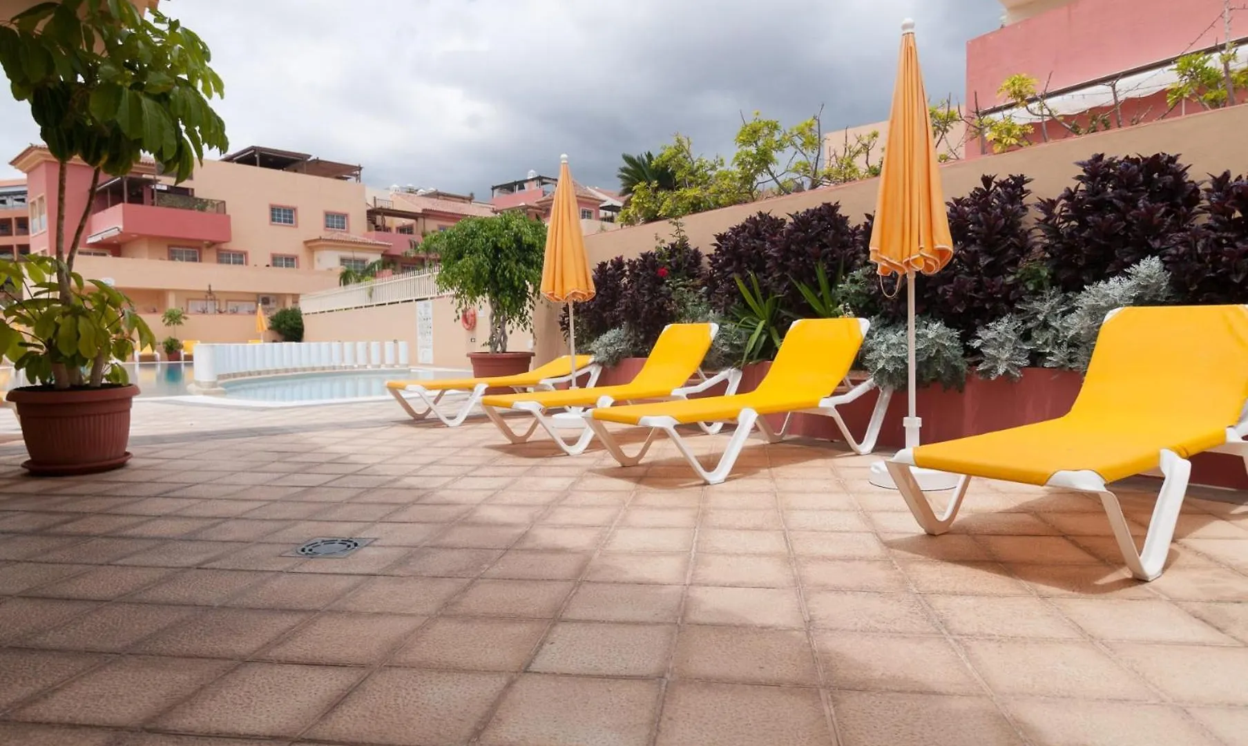 Beautiful 2 Bedroom Penthouse Terrazas Del Duque アデヘ スペイン